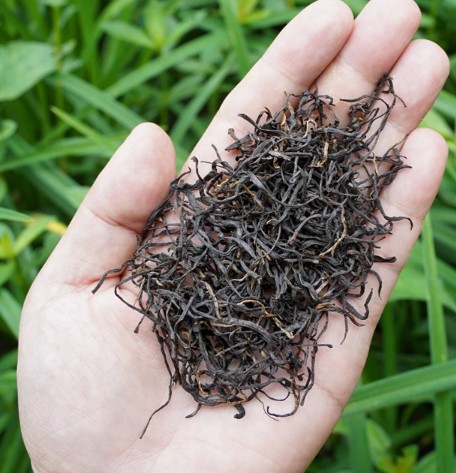 Qimen Black Tea · Premium Hongmaofeng - 3